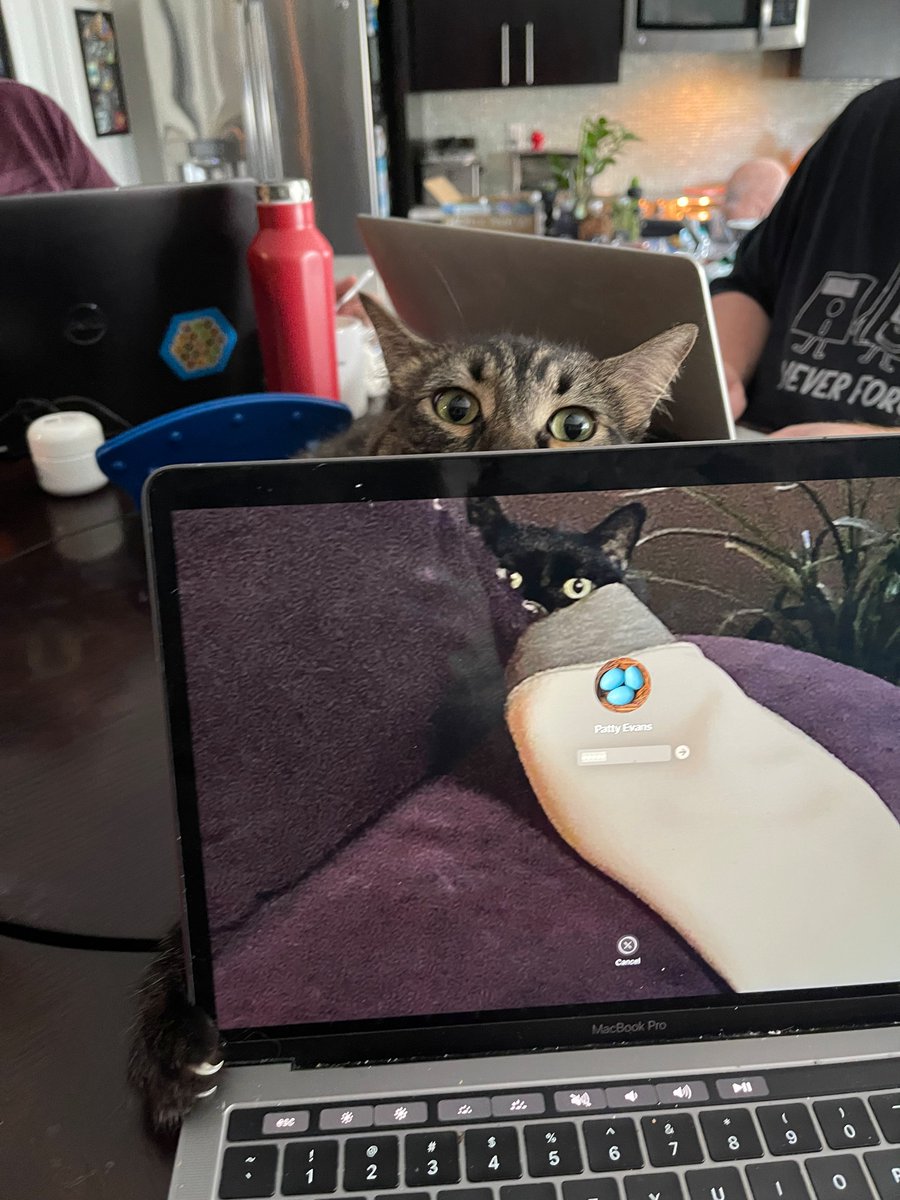 HarmonyUsInc's tweet photo. @pmay225 Doing her part to #KeepHumansHome and worshiping the pets where they belong #Shoggath says good work!! #CatsOfTwitter https://t.co/UNPJjIqMuD