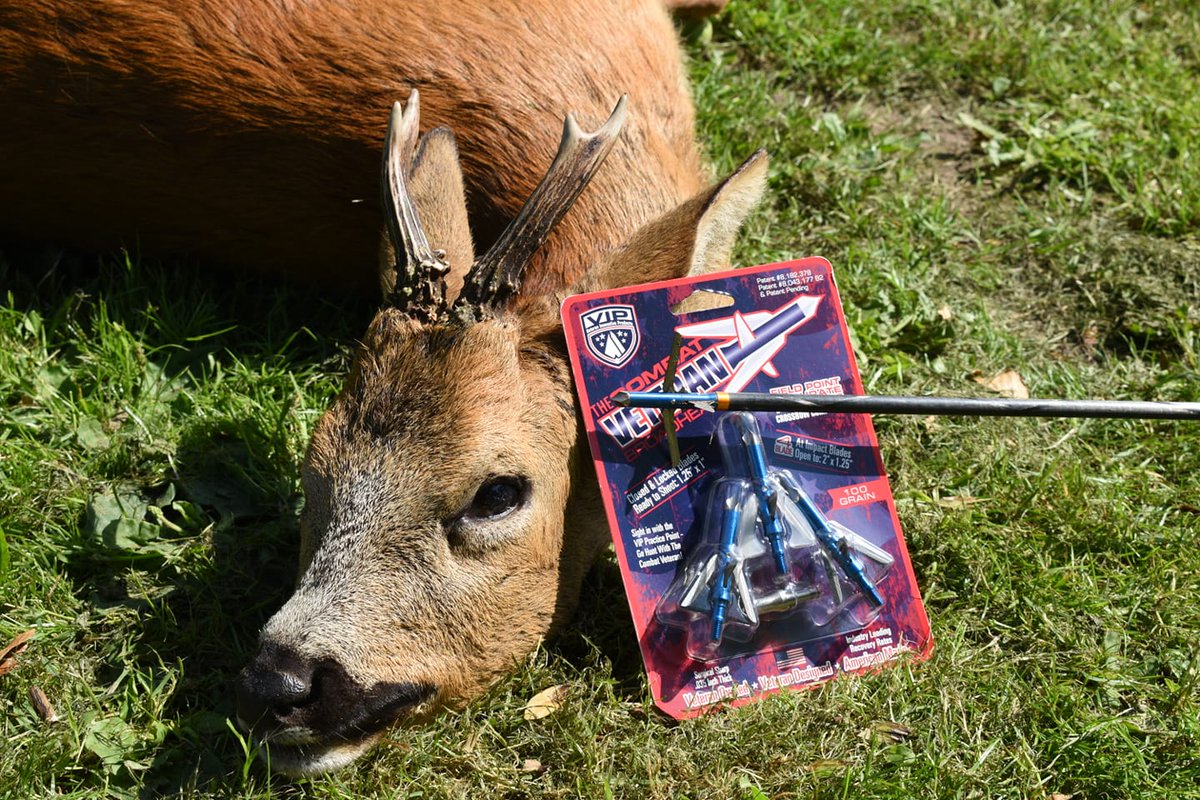 VeteranIP's tweet photo. Another successful hunt in the books, thanks to VIP broadheads!

https://t.co/SICQotaSh7

📷: Marius Monrad of WILD Jaeger https://t.co/Y1lYxQ0d7z
