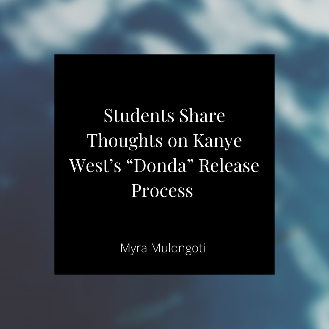 Click the link in our bio to read! 🦈🦈