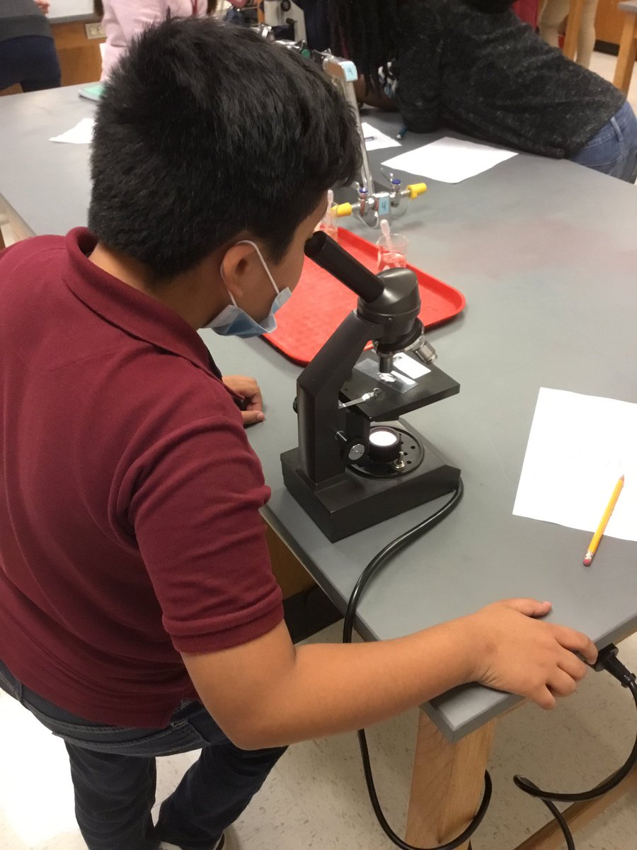 price_sci's tweet photo. Comparing biodiversity in two of our local ponds 🔬 🦠 https://t.co/IMJP6i7E6b