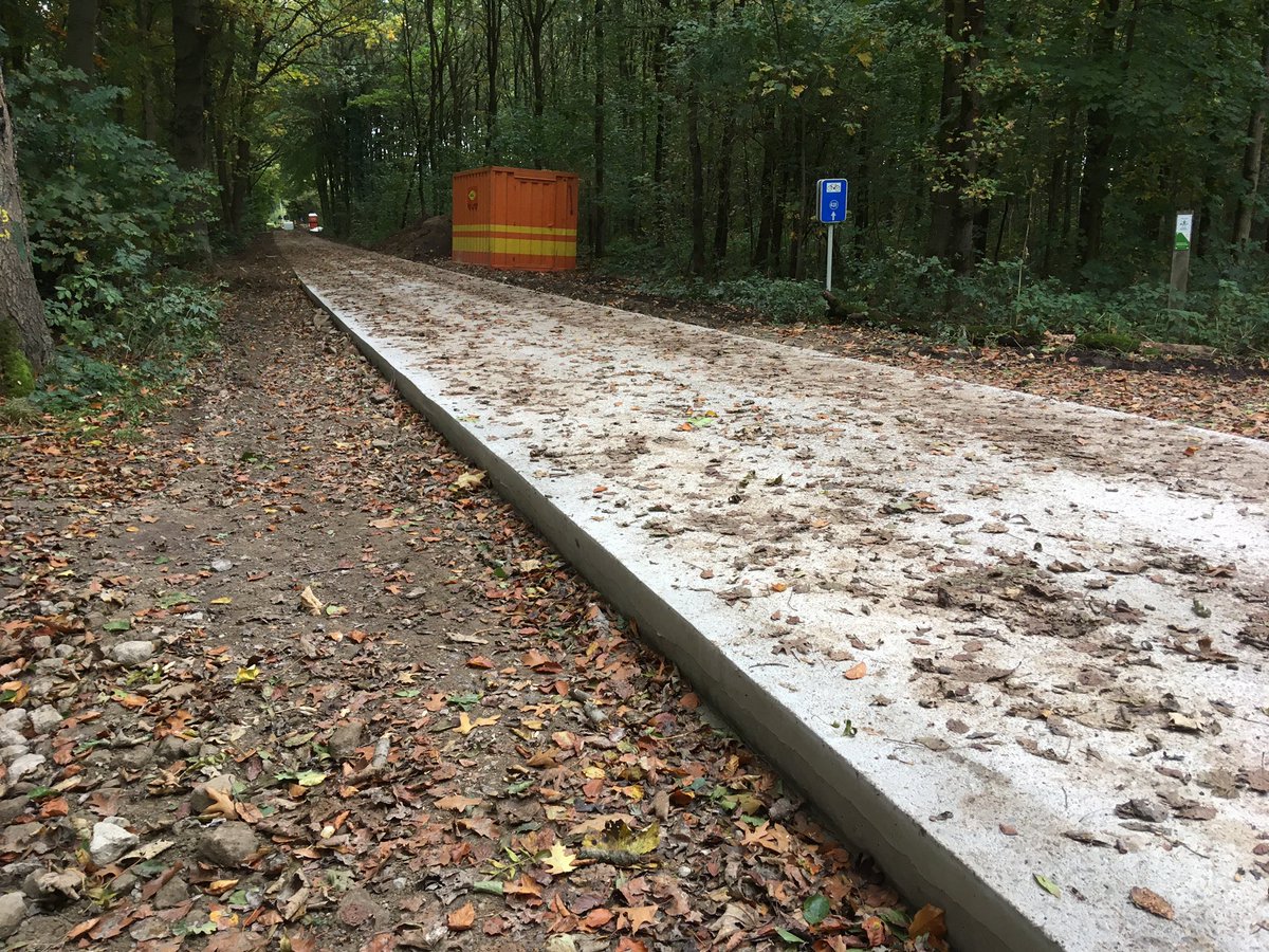 Toine Cooijmans tweet media