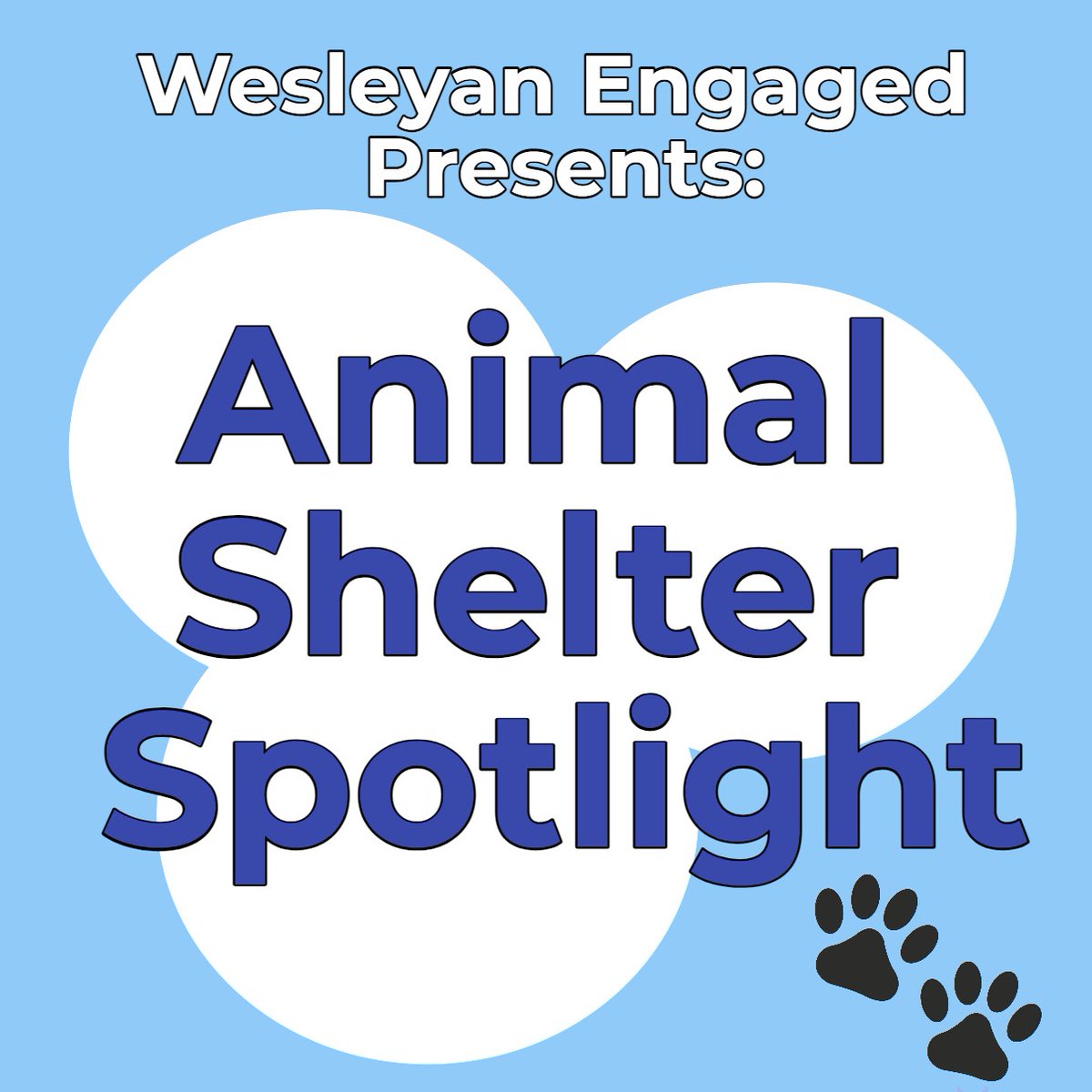 WesleyanEngaged's tweet photo. Wesleyan Engaged will be featuring a local animal shelter each week! Each shelter would love to have more volunteers join their team. Stay tuned to learn more about all the community engagement opportunities! https://t.co/hegL4CKzWT