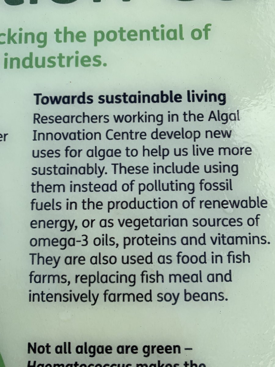 Research happening @UniCambridge #botanicalgardens #sustainability #algae #COP26 #PositiveNews