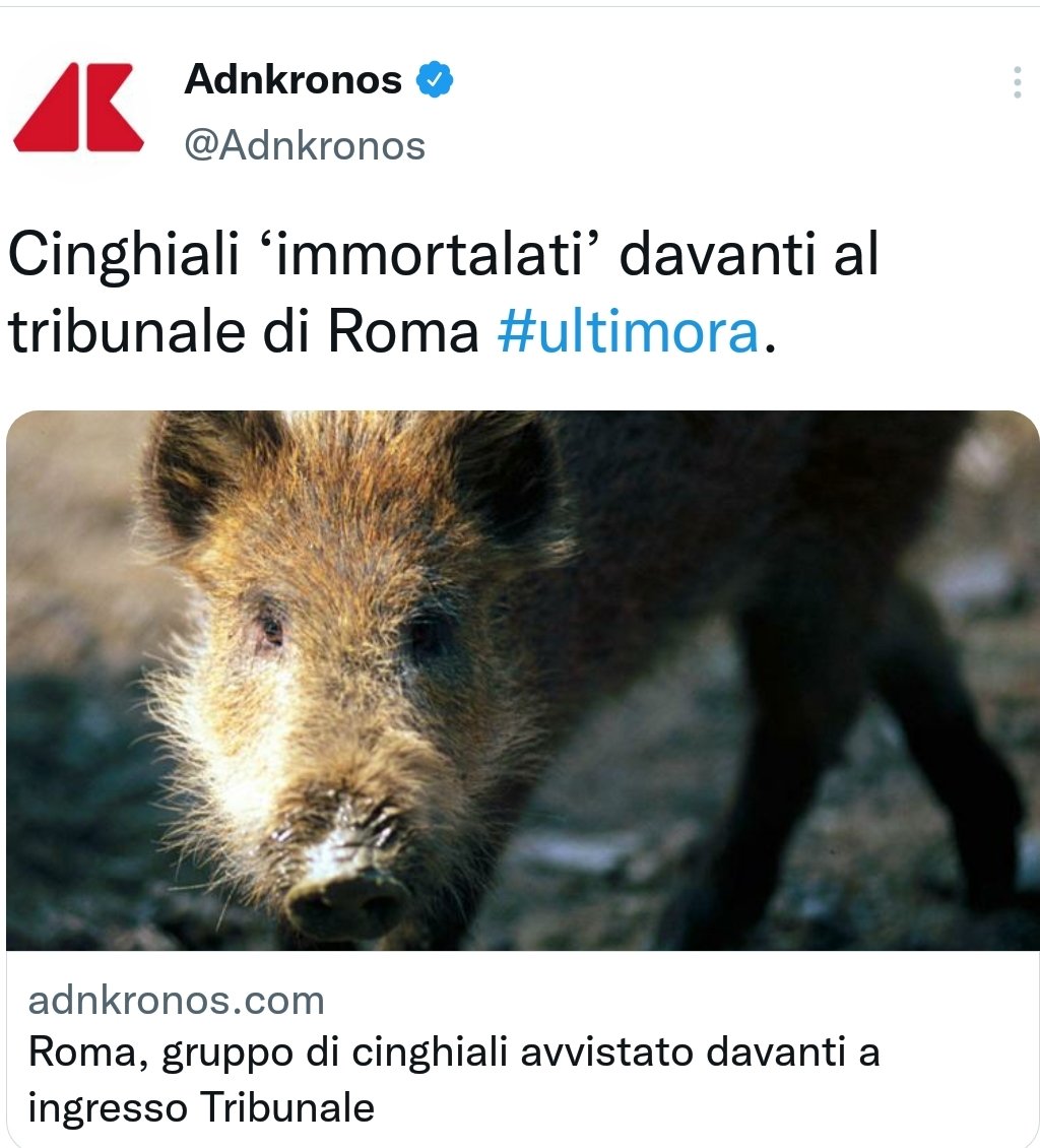 Forse si tratta di ravvedimento operoso
#cinghiali #giustizia #AlienWorlds