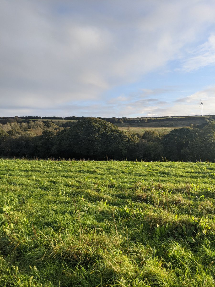 ElliotKett's tweet photo. "Land can sequester a hell of a lot of carbon if you let it"

My takeaway: boosting nature and food production aren't mutually exclusive - cleverly designed multifunctional land uses provide great food whilst boosting natural capital and providing ecosystem services... (9) https://t.co/xYimzhV8nh
