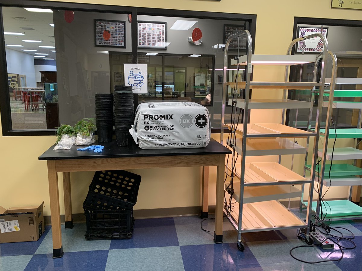 megrua's tweet image. Big day for sixth graders in Ms Carters science class at the @Dayton_STEM. Today students and the #RuaLab planted the seedlings for our experiment.