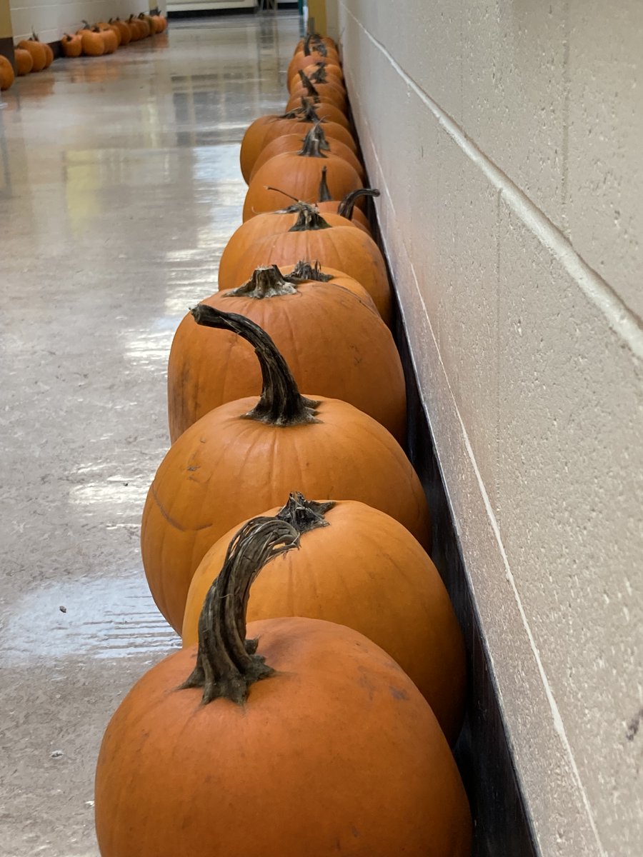 Lisa Frey tweet media