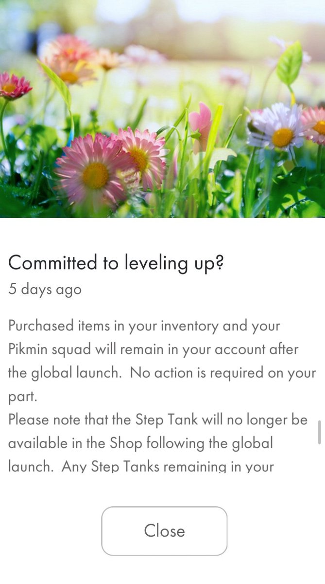 news_pikmin's tweet photo. Update: Public-launch information for beta players! #PikminApp #PikminBloom https://t.co/gE1RlGKTEv