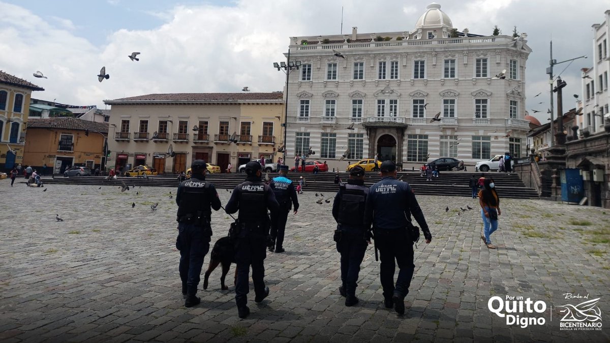 agentesdequito's tweet photo. 🚨CONTROL| En el Centro Histórico apoyamos a la seguridad integral y control del uso del espacio público con nuestros canes🐶 de patrullaje; para garantizar una ciudad limpia, segura y ordenada.
Apoya a los entes de control
#AgentesDeQuito👨‍✈️
#PorUnQuitoDigno👍🏻
#VuelveAlCentro⛪ https://t.co/ldle1V6TWx