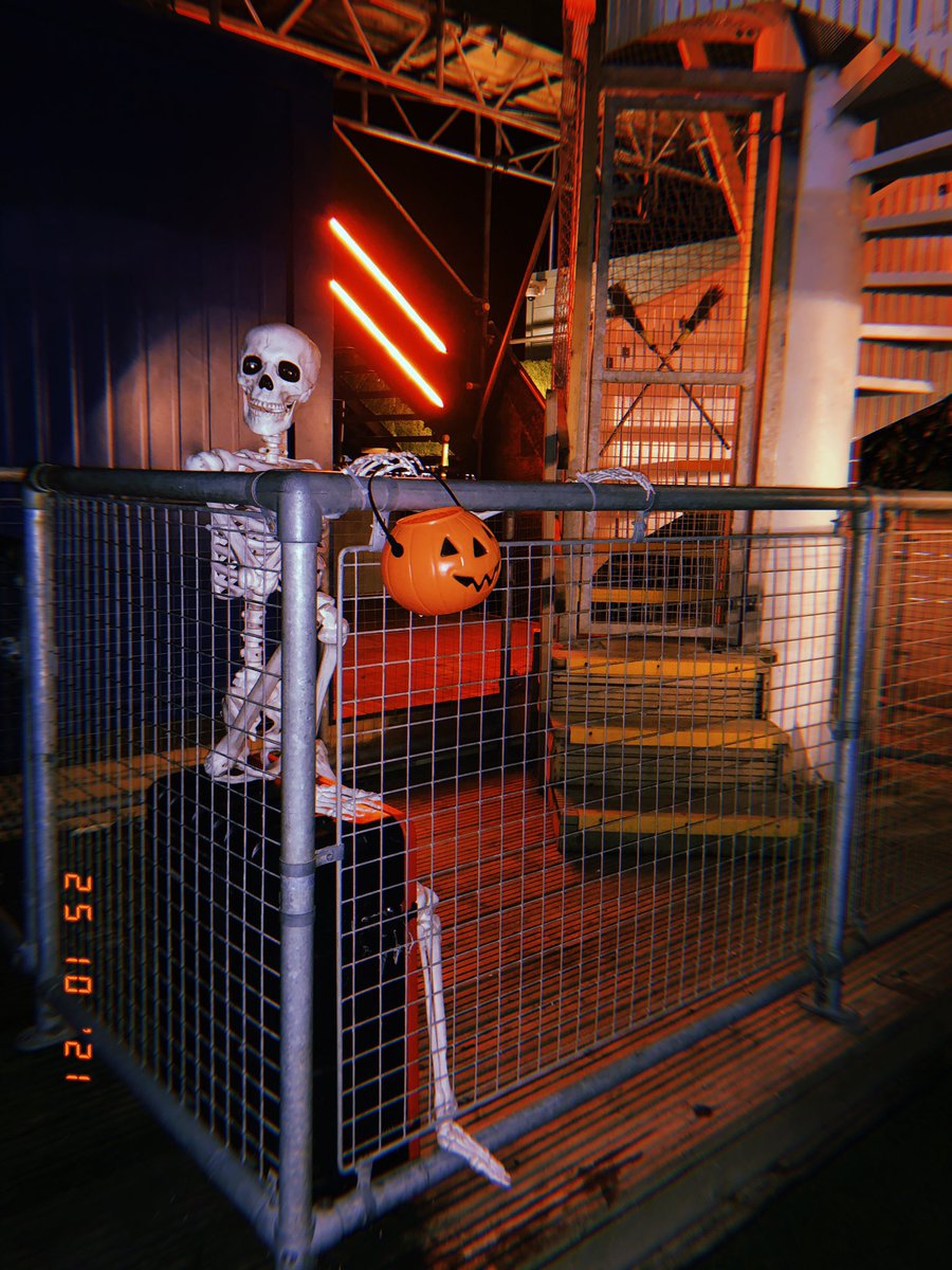 Brighton Zip tweet media