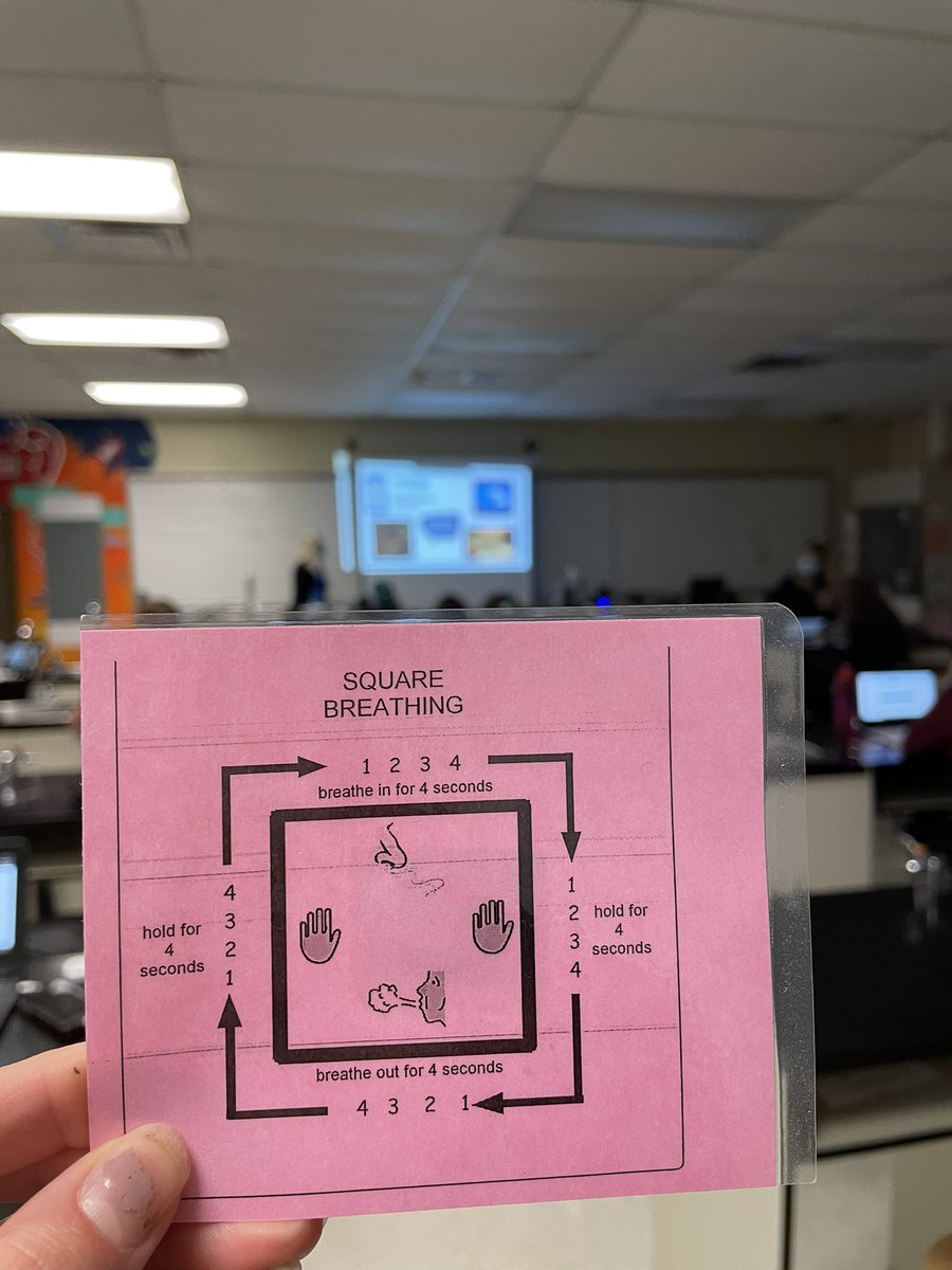 Brittany MacPherson tweet media