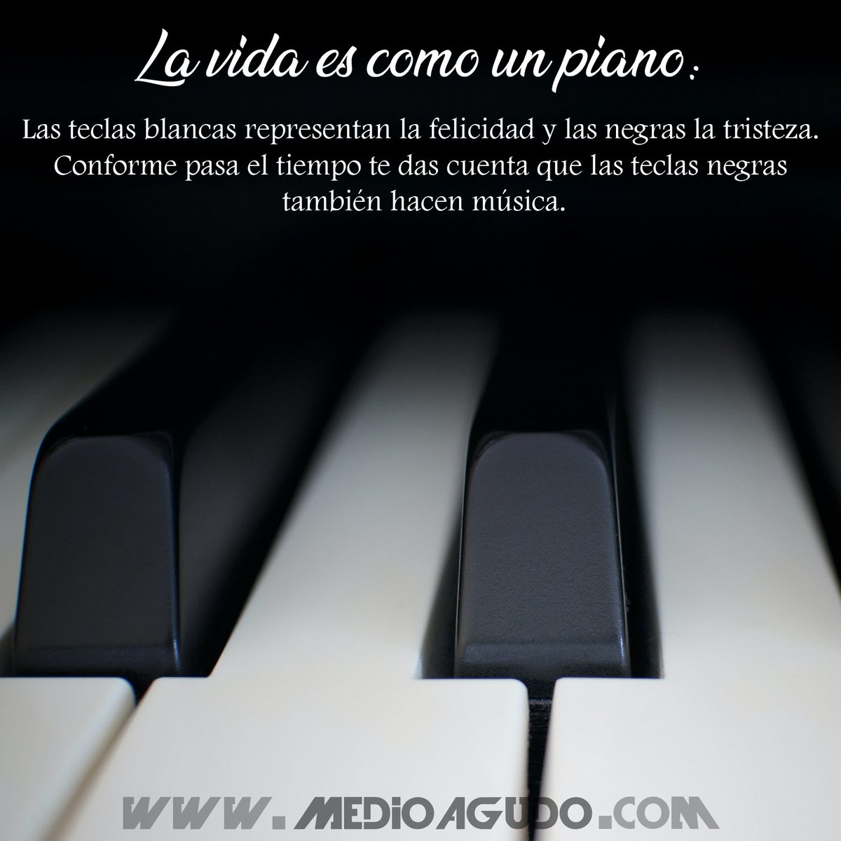 MedioAgudo's tweet photo. 🤘 Registrate y publica gratis https://t.co/TmOAoCRjaF plataforma para músicos y #emprendedoresdelamusica
.
#MedioAgudo #saladeensayo #tiendademusica #musicos #escuelademusica #teclas #piano #emprendedores #plataformaparamusicos #plataformademusicos #emprendedores #musica https://t.co/WoS9TgDODV
