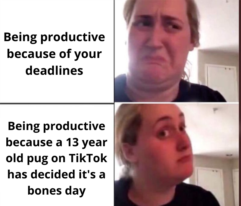 ModSquad tweet media