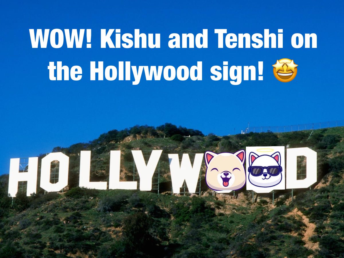 SoCalGAINS's tweet image. We’re famous! @InuKishu @ArchangelAka @KtsSeries