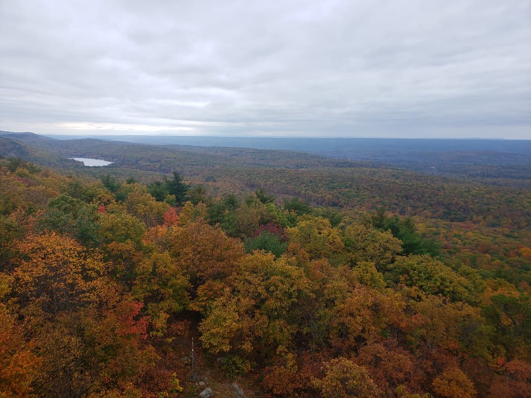 NewJerseyDEP's tweet photo. You don't like the outdoors? Unbe-leaf-able!
Looks like Stokes State Forest is nearing peak foliage, folks. 🍁🍂
#FallForNJ #takeahike https://t.co/5zWpZticUQ
