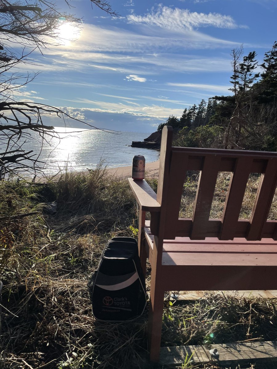 Countrylivinginthecove tweet media