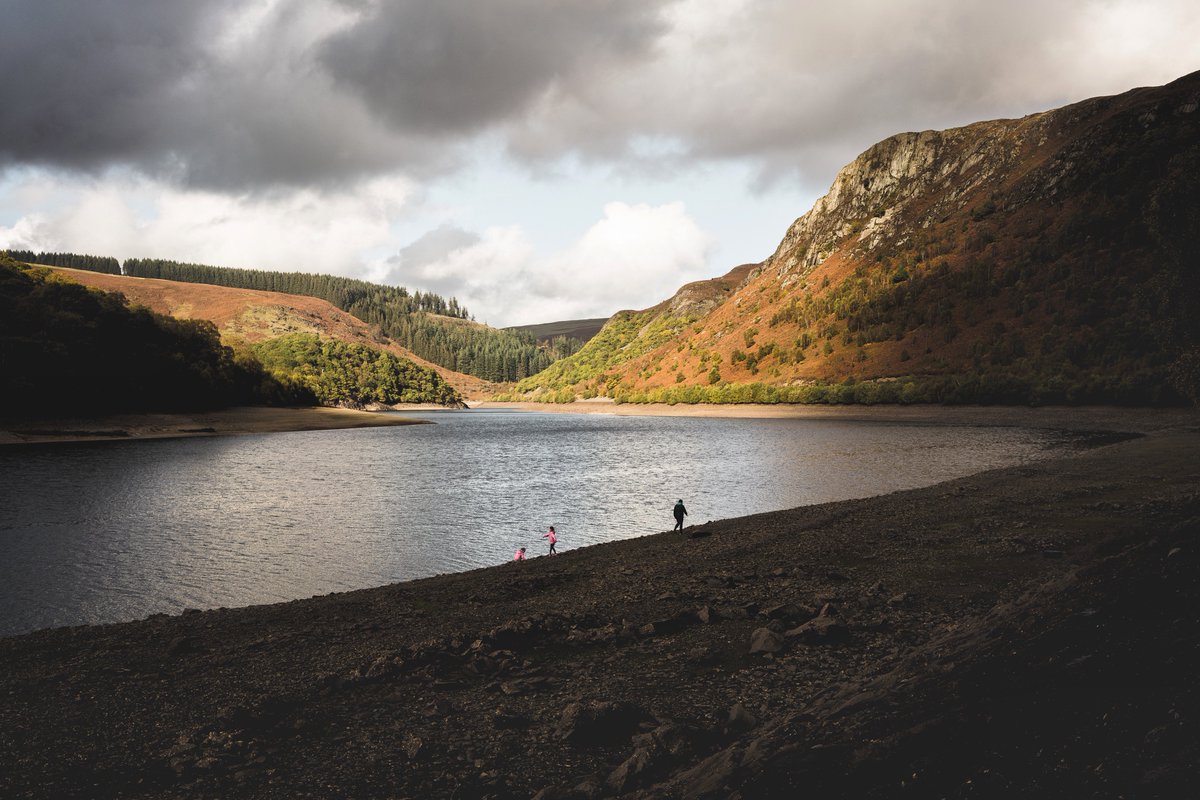 Tim Piercy tweet media