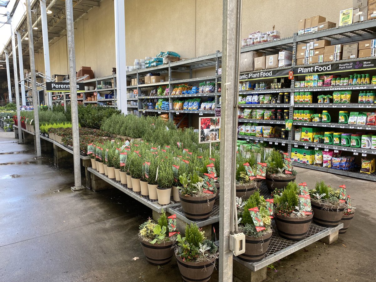 Donna tatta tweet media