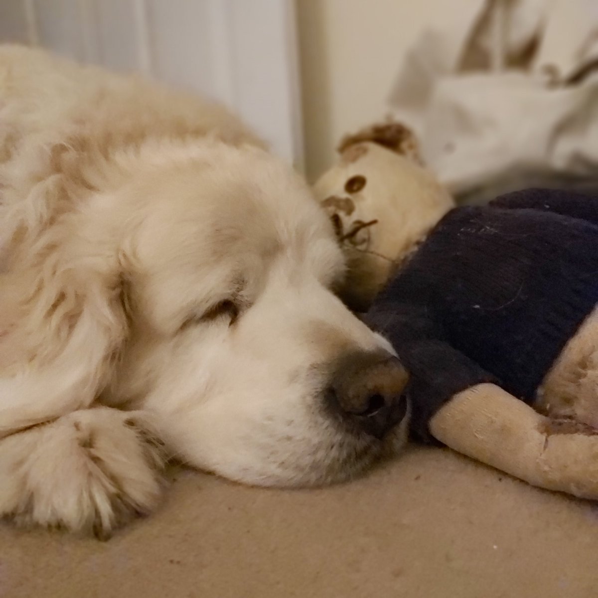 Goodnight all.......