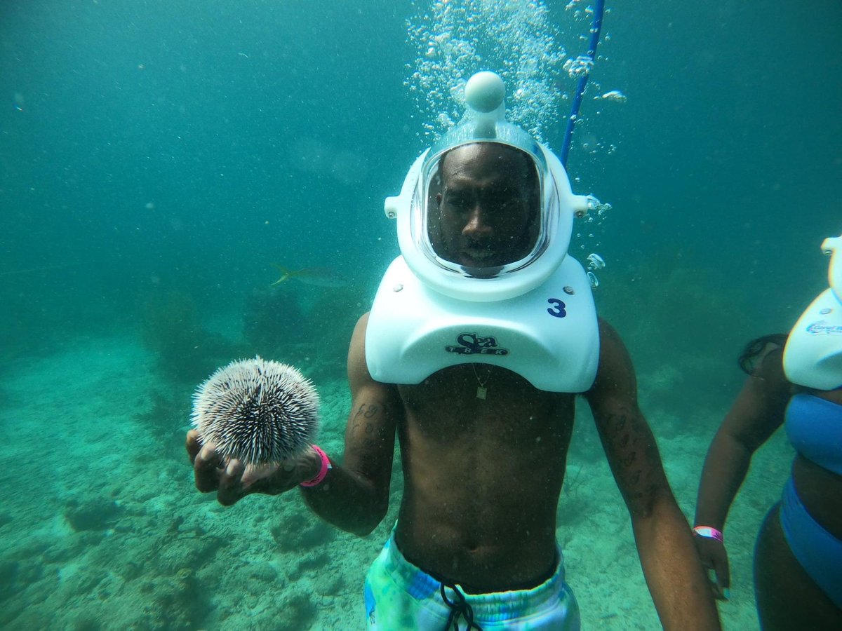 taetooFINE's tweet photo. Client cam ๐ธ
Yes I also book excursions and activities also. I plan they entire trip from start to finish! Isnโt this cool who else would try this?
#traveltimewithtae #tripplanning #tripplanner #baecation #sthomas #usvirginislands #usvi #underthesea https://t.co/87djdStUoB