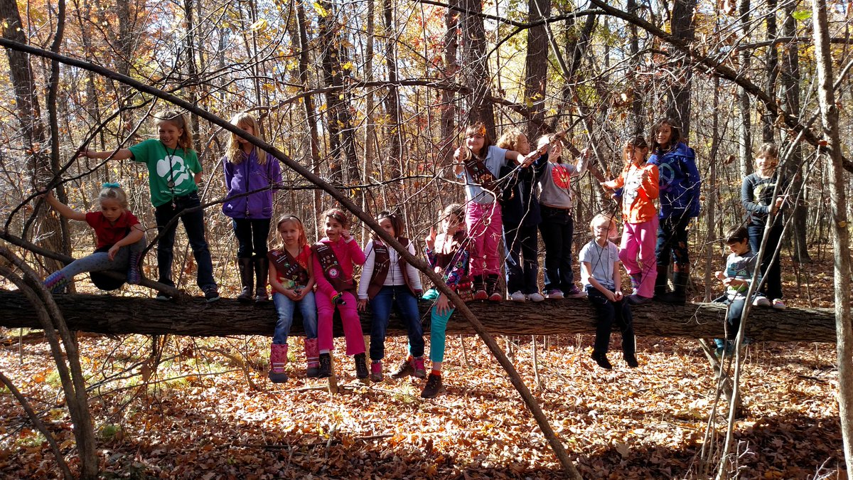 ThaddeusMcGaffe's tweet photo. @girlscouts Outdoor adventures with troop 40254 🍁🍂 https://t.co/8NfVOzj2gb