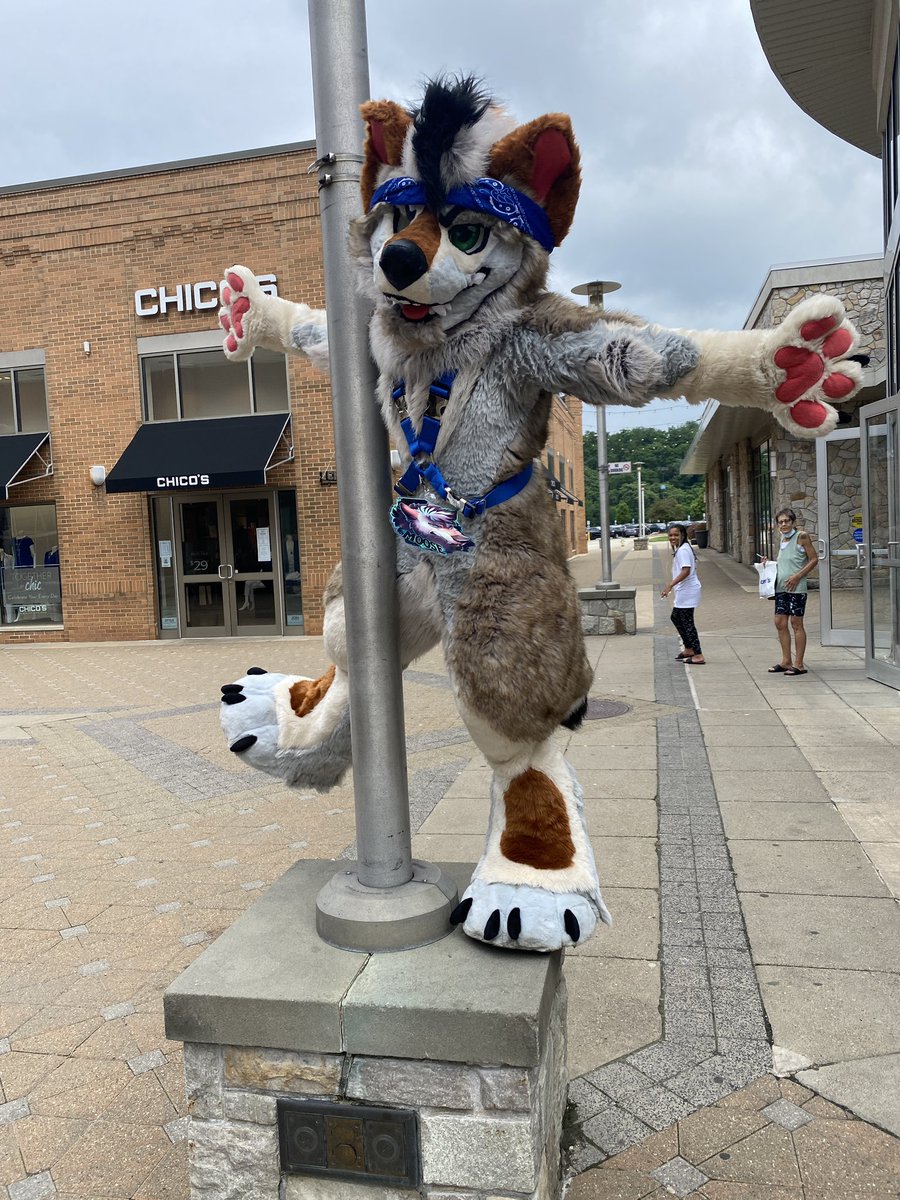cattledoq's tweet photo. @Yamishizen I LOVE MOOSE’S FEET SNAPS u r so smart yami

no seriously i love the look that moose’s feet are attached but AHA they are not 😈 plus i love having stompy partial feet. https://t.co/63aczzcrlX