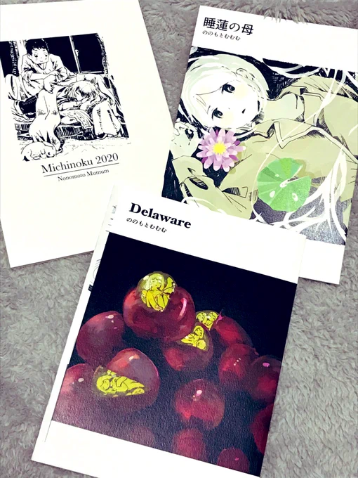 10/24みちのくコミティア戦利品、「SOFT MATINE」の「Michinoku 2020」「睡蓮の母」「Delaware」。独特な絵柄で描かれた繊細な物語。キャラもかわいい。
「Delaware」収録の「てあせ」が素晴らしかった。何度も読み返してしまう。

 #みちのくコミティア 
