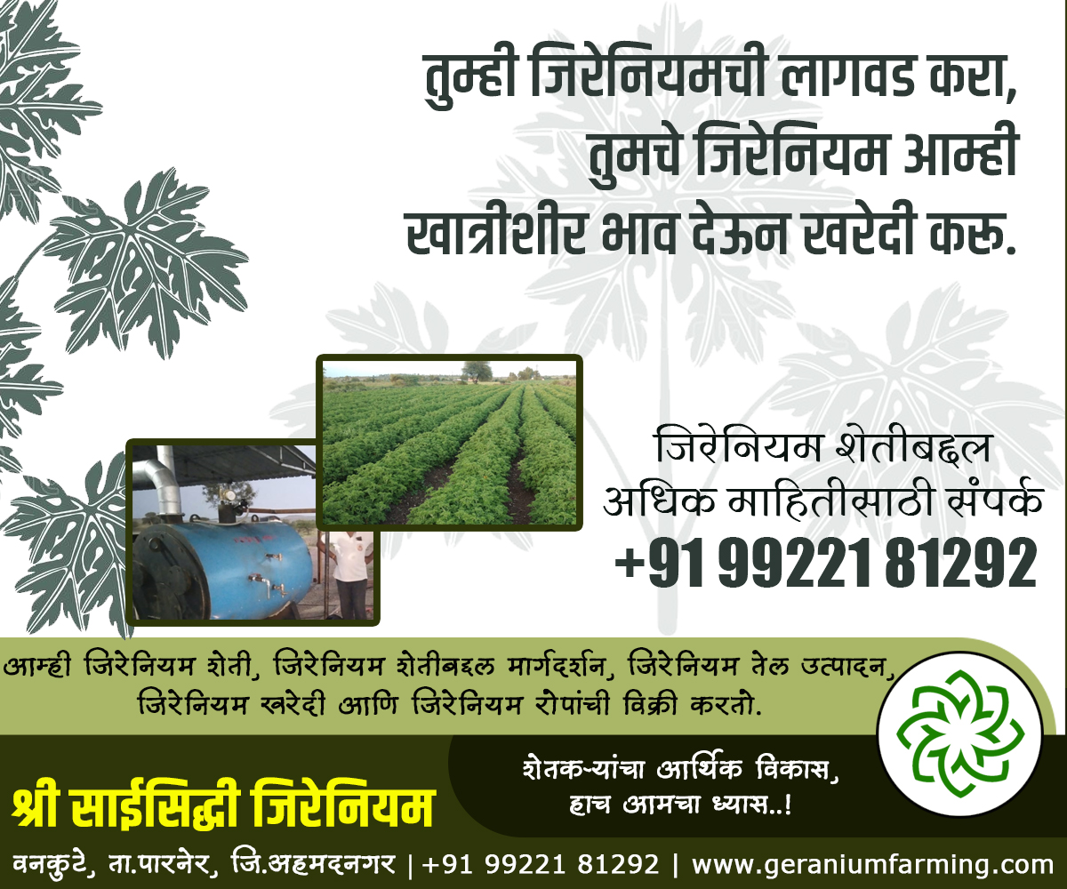GeraniumFarming's tweet photo. श्री.साईसिद्धी जिरेनियम, वनकुटे, पारनेर, अहमदनगर.
शेतकऱ्यांचा आर्थिक विकास, हाच आमचा ध्यास..!
जिरेनियम शेती, जिरेनियम तेल उत्पादन, जिरेनियम शेती प्रशिक्षण व मार्गदर्शन, जिरेनियम खरेदी, जिरेनियम रोपांची विक्री.
#GeraniumFarming
https://t.co/XXSCNUB8rZ
@shetkari712
@Shetkariporga https://t.co/H8j2CZVzcL