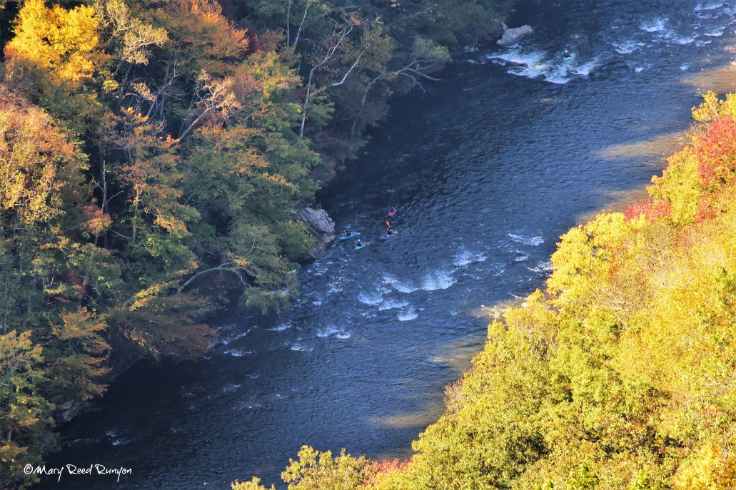 MaryReedRunyon1's tweet photo. #Kayakers 🛶#BreaksInterstatePark @KYWhitewater #RussellForkRiver @WYMT @brobwx @WSAZBrandon @SpencerWeather @Kentuckyweather @WLKYChris #ekywx #kywx #sekywx #October #kayaking #instakayaking https://t.co/q1B3hv0DZR