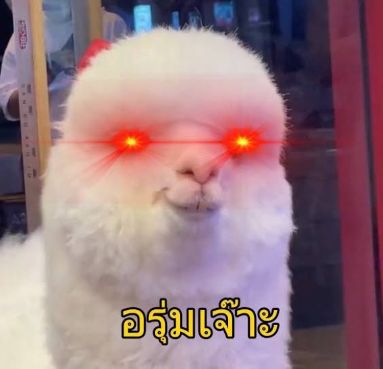 เจลลี่🍒 tweet media