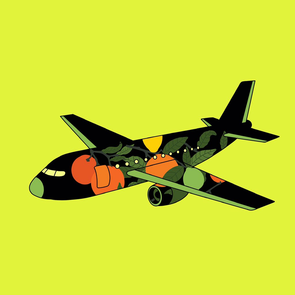 plane_crypto tweet picture