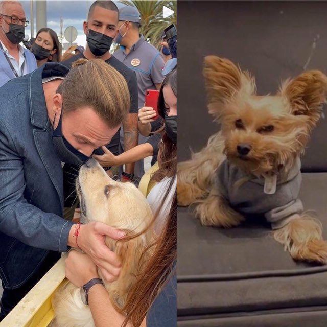 Mimeto's tweet photo. Hande isn’t jealous of all the models around Kerem.. ama Hector might be.. 😅😍@KeremBursin https://t.co/AUv3WgTl2D