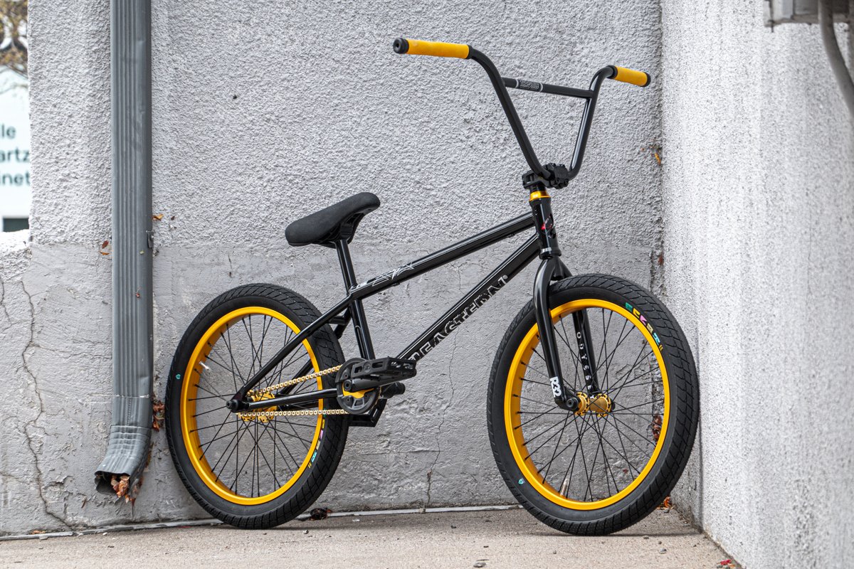 easternbikes's tweet photo. @______dynamic_______ built up this dime piece with a #easterngrimreaper frame, gold #buzzipwheels #compressorstem and #throttlebars   🏆 

#bmx #easternbikes #easternbmx https://t.co/OK4fd9OSt7