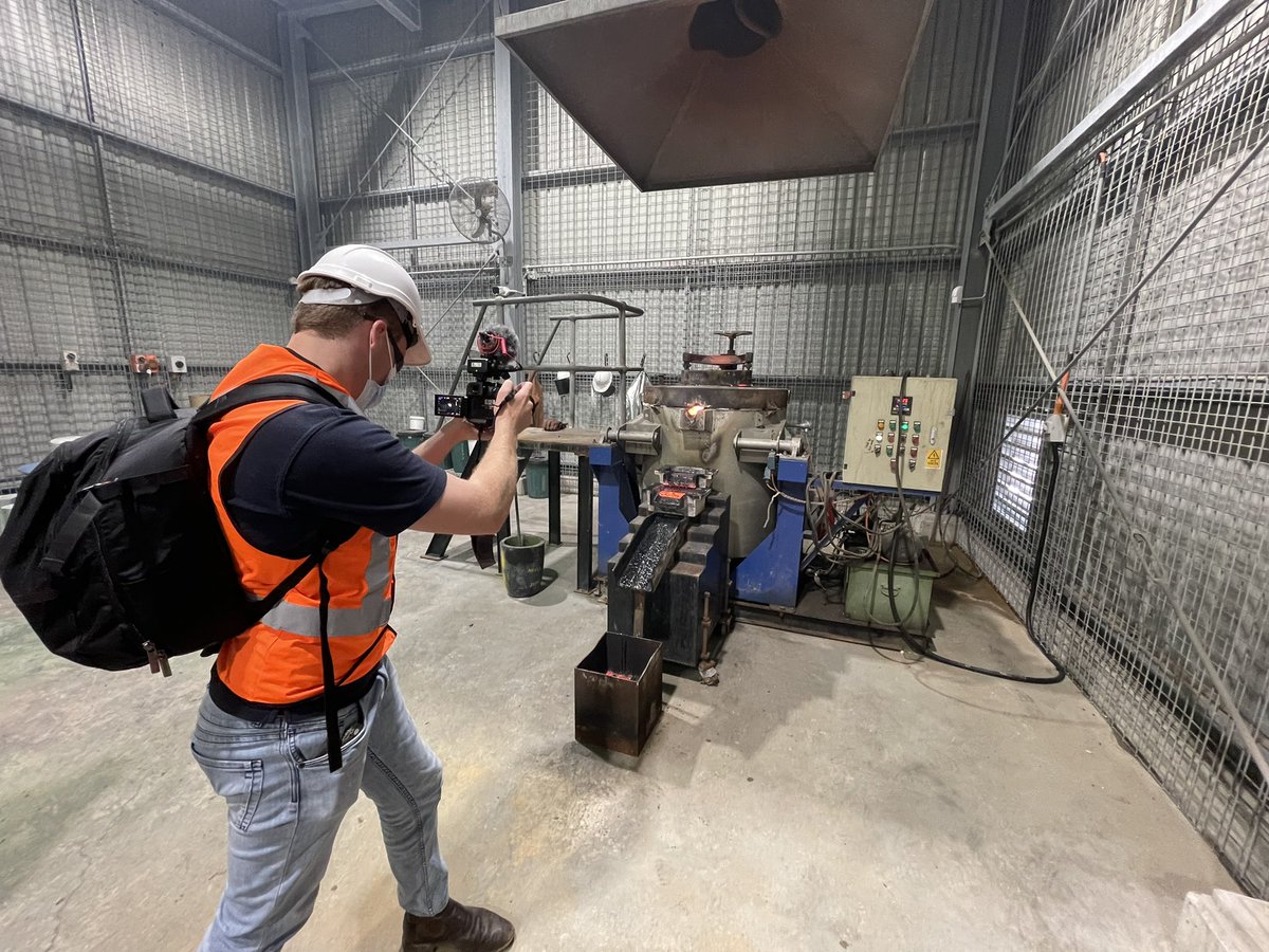 Mollie Gorman tweet media