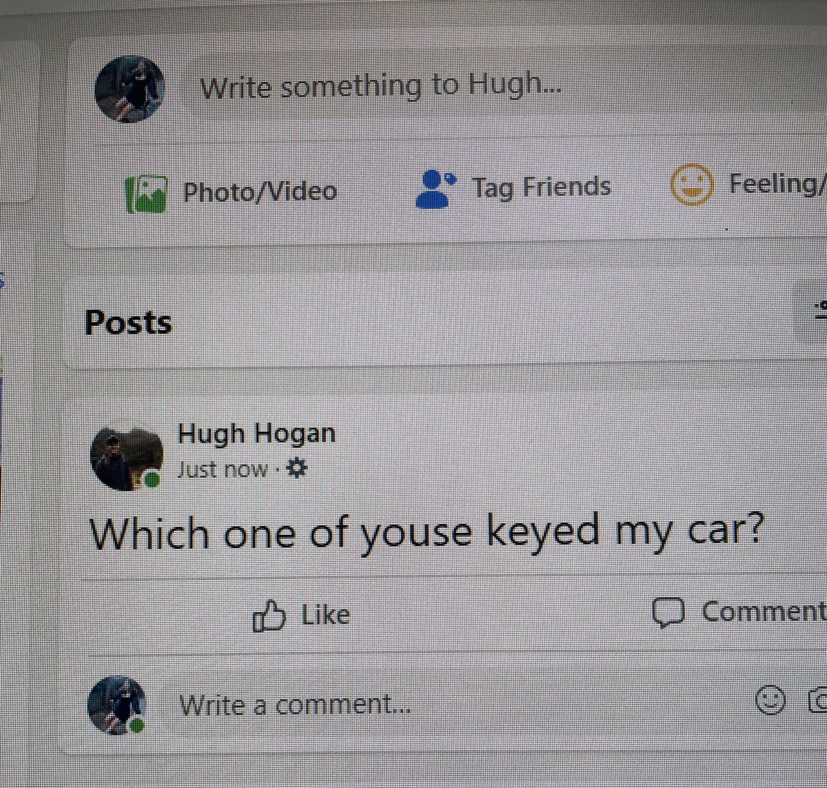 Mollie Gorman tweet media