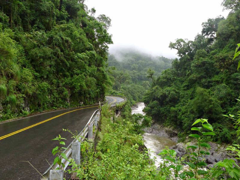 turisargentina's tweet photo. Yungas de Tucumán, uno de los circuitos más atractivos, que forma parte de un ecosistema que con ese mismo nombre va desde el norte de Argentina hasta Perú. ¿Lo conocen? 😃🙌🍃🇦🇷 https://t.co/pp1ctHtZWa