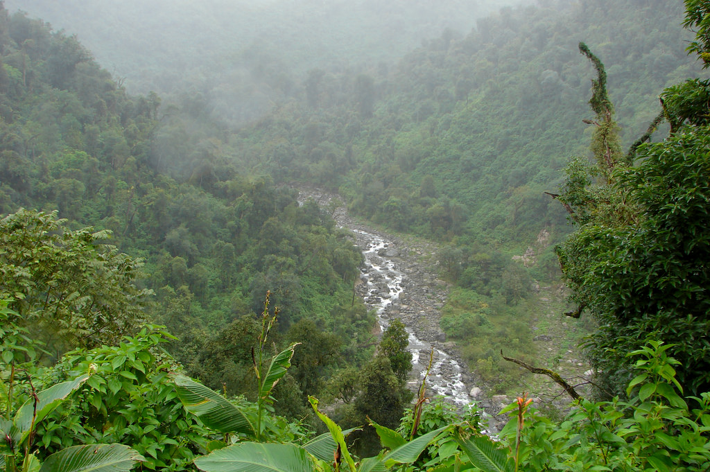 turisargentina's tweet photo. Yungas de Tucumán, uno de los circuitos más atractivos, que forma parte de un ecosistema que con ese mismo nombre va desde el norte de Argentina hasta Perú. ¿Lo conocen? 😃🙌🍃🇦🇷 https://t.co/pp1ctHtZWa