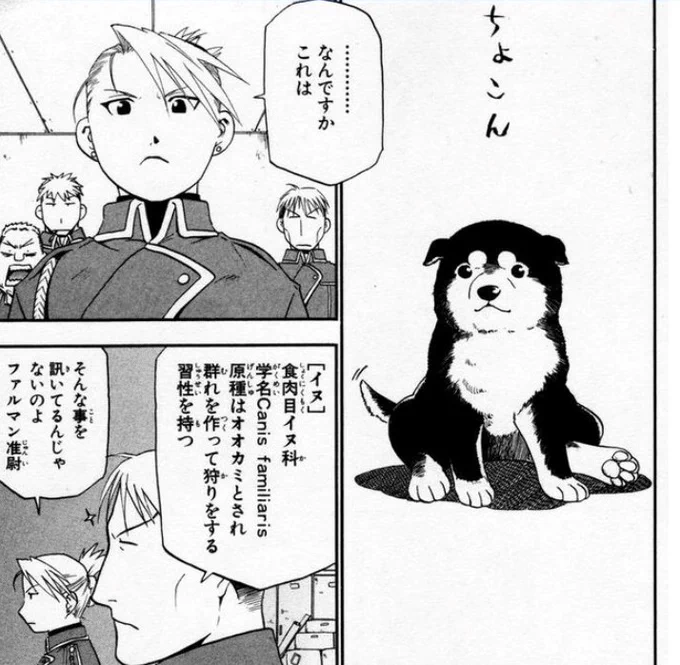 @riru_kunui2011 軍って所からブラックハヤテ号を連想してしまう🐕🤣 