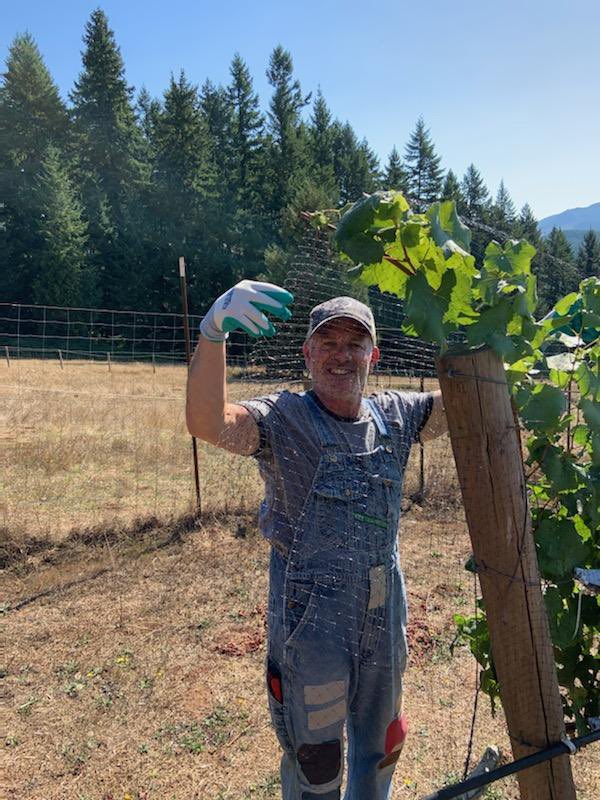 Volcano Vineyards tweet media