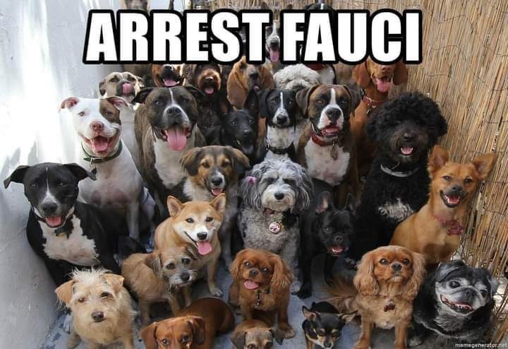 #arrestfauci #arrestfaucinow