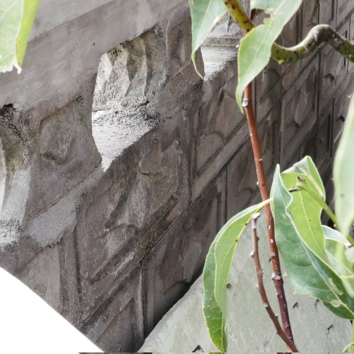 blockwork tweet media