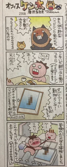 以前こういうことがあって忌避剤とか置いて大騒ぎだったんだけど。その後2回ウンコされた後、来なくなりました。で、今朝、ひさびさに屋根の上でガサゴソでかい音が!またか!…と焦ったんだけど今回はカラスであった。 