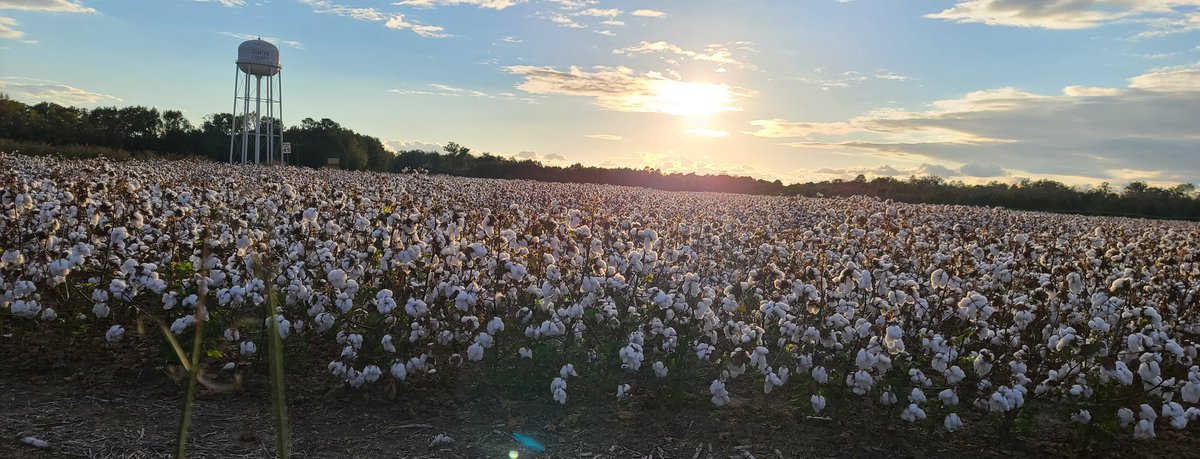 Paige Melton (@wirelessknowhow) on Twitter photo Enjoy the journey! And the drive across SC! #PalmettoState #TMobile5G <a href="/MrDennisJones/">Dennis Jones</a> <a href="/jeffmedsker/">Jeff Medsker</a> <a href="/richardmuseums/">Richard Museums</a> Enjoy the journey! And the drive across SC! #PalmettoState #TMobile5G <a href="/MrDennisJones/">Dennis Jones</a> <a href="/jeffmedsker/">Jeff Medsker</a> <a href="/richardmuseums/">Richard Museums</a>