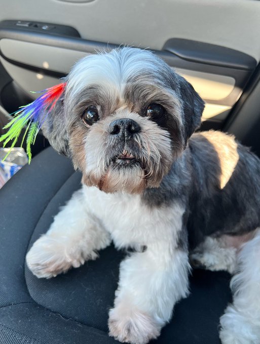 Watch ProFotoX's leaked NSFW photo on TwXstars