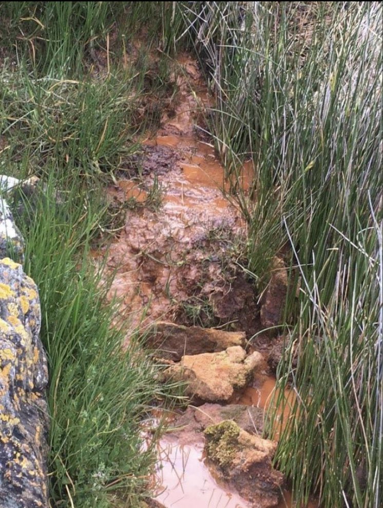 PenrhosSave's tweet photo. We have another type of #sewage leaching into the sea on Anglesey, an old dumping ground for @RioTinto and @angleseycouncil . According to @NatResWales this is ok. 
Is It really ok for #toxicwaste to pollute SSSi’s &amp; AONB’s @RachSalv, @CThomasMS, @JulieJamesMS @RhunapIorwerth ? https://t.co/PiPMLW9xH5