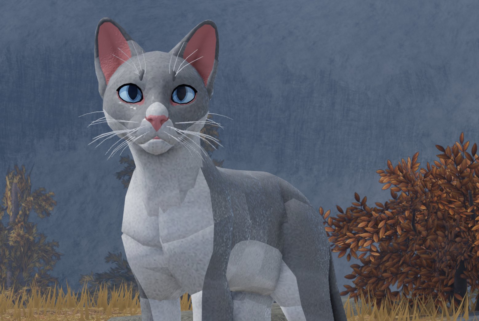 Bavelly On Twitter WIP Warrior Cat Remodel For wcrproblox Very Happy With This Model So Far 