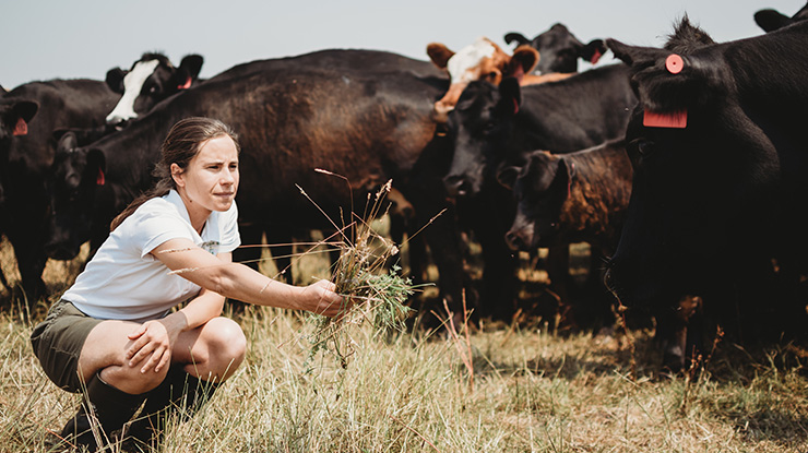 From Paddock to Plate tweet media