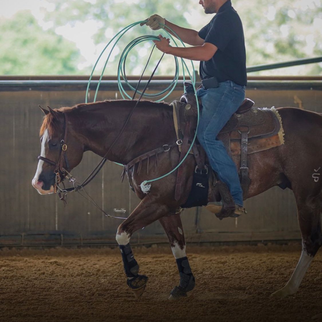 fenogliobootco's tweet photo. We love a good action shot!🤠
•
Repost• @jdwing_performancehorses
#JDWingPerformanceHorses #TeeCrossRanches #ARHFA
#AmericanHatCo #FenoglioBootCo #ClassicEquine #StarExpos
@mackenziewing_photography https://t.co/ETygiLKBxh