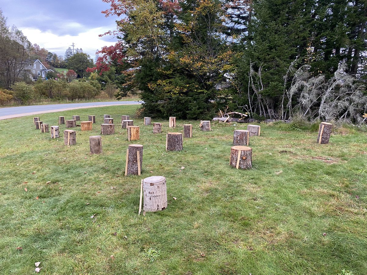 Check out our fantastic new outdoor learning space!