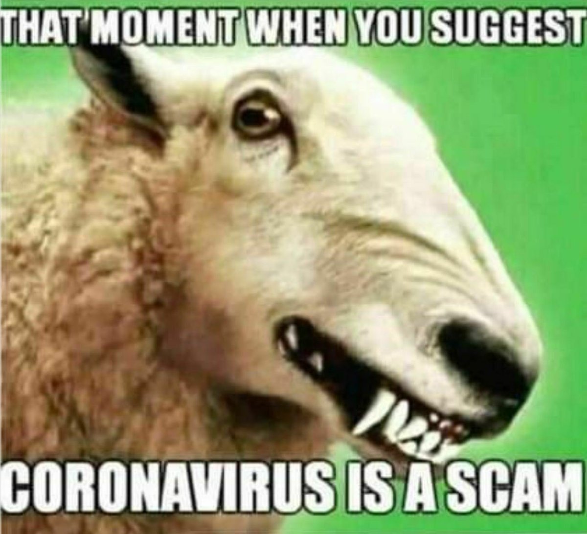 Raul (@specialarks) on Twitter photo 